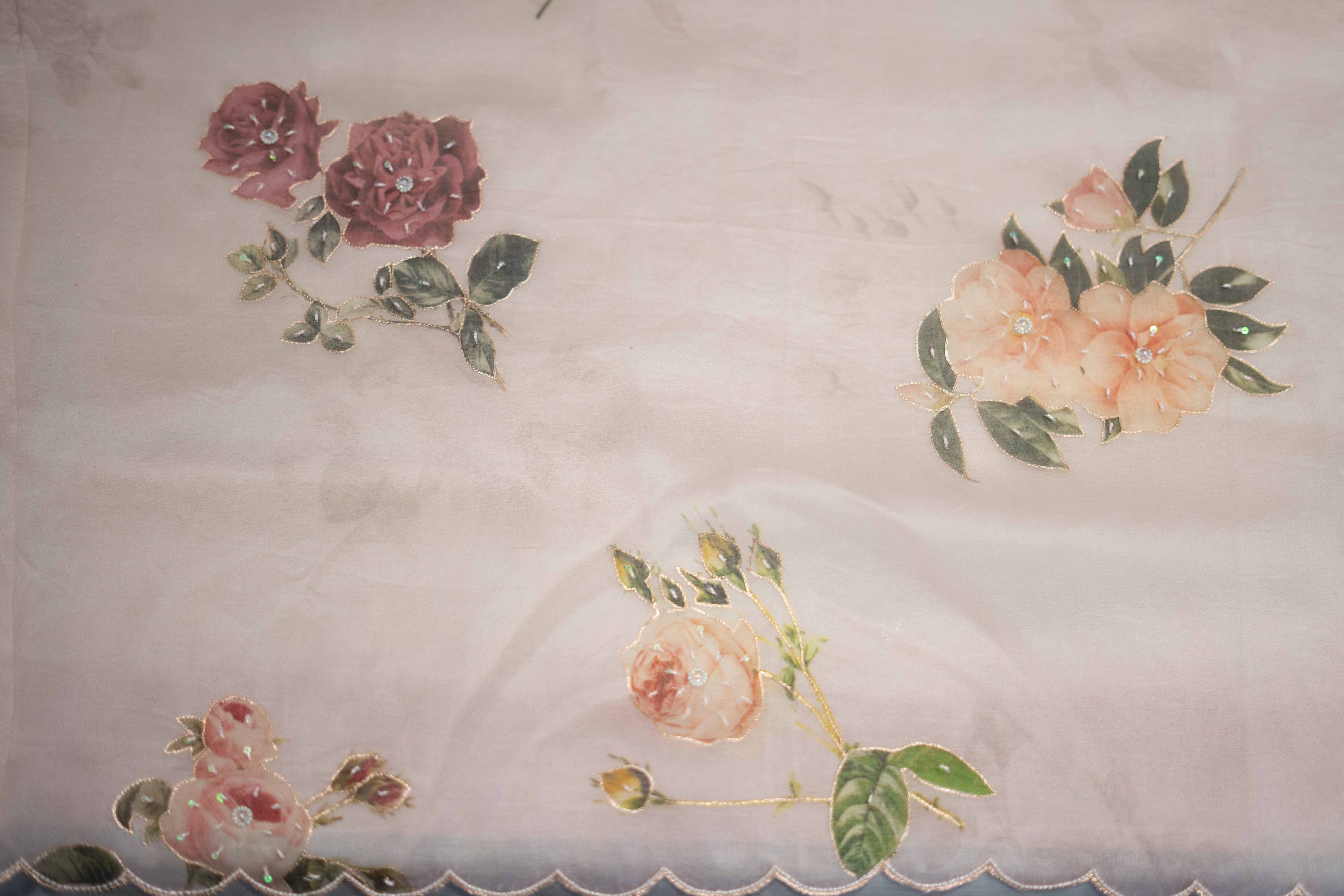 Opulent Banarasi Organza saree