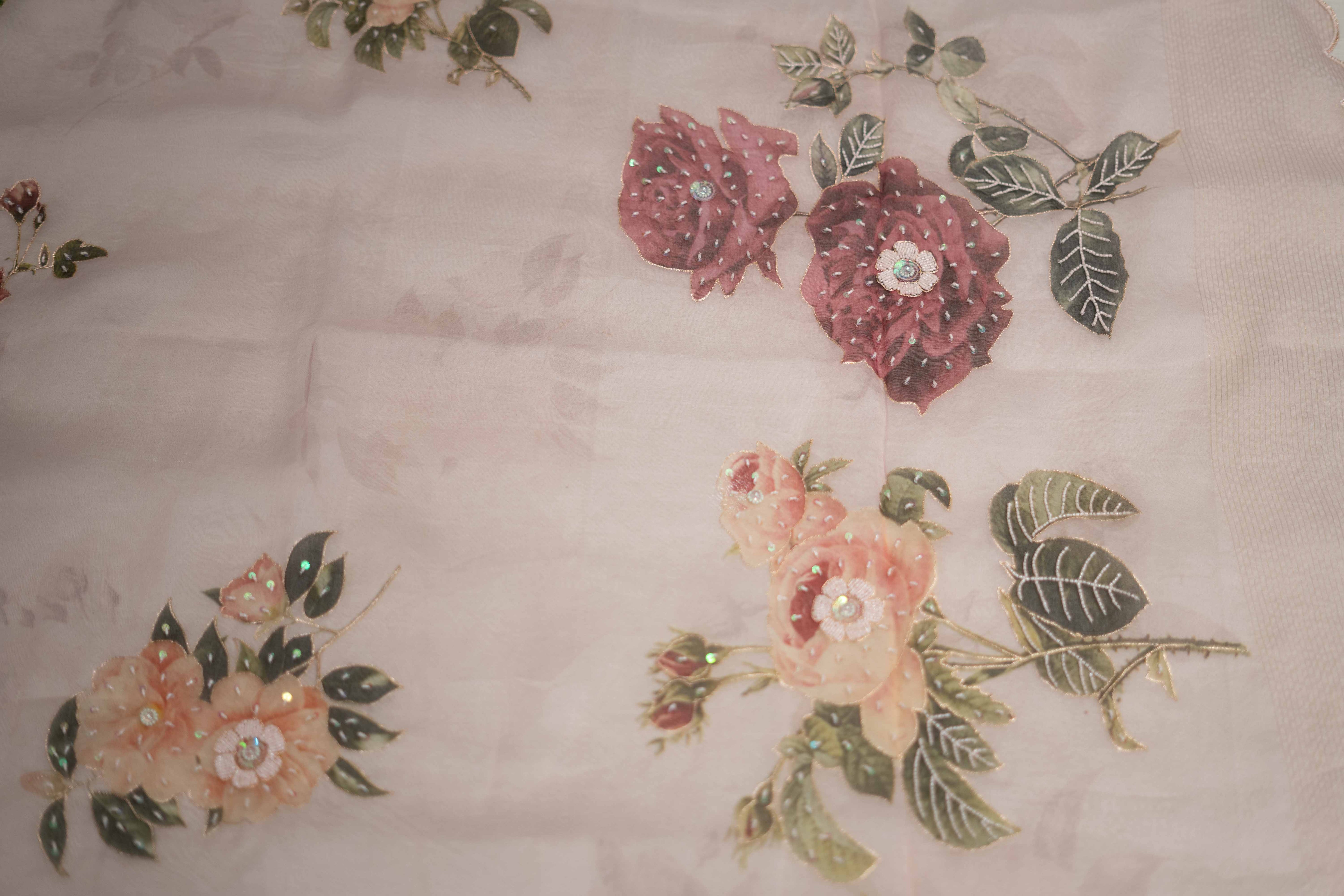 Opulent Banarasi Organza saree