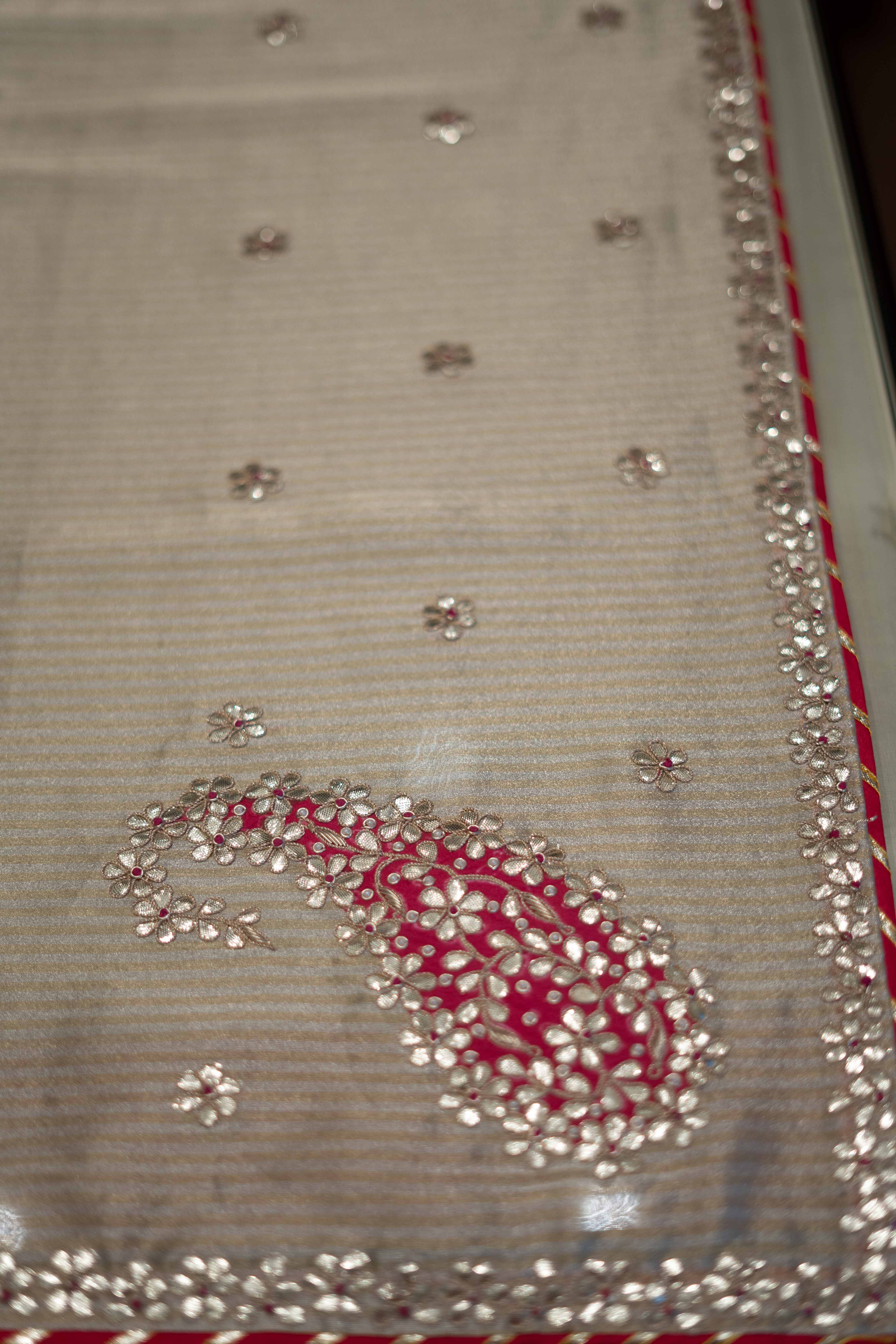 Warm beige Organza tissue Designer Saree