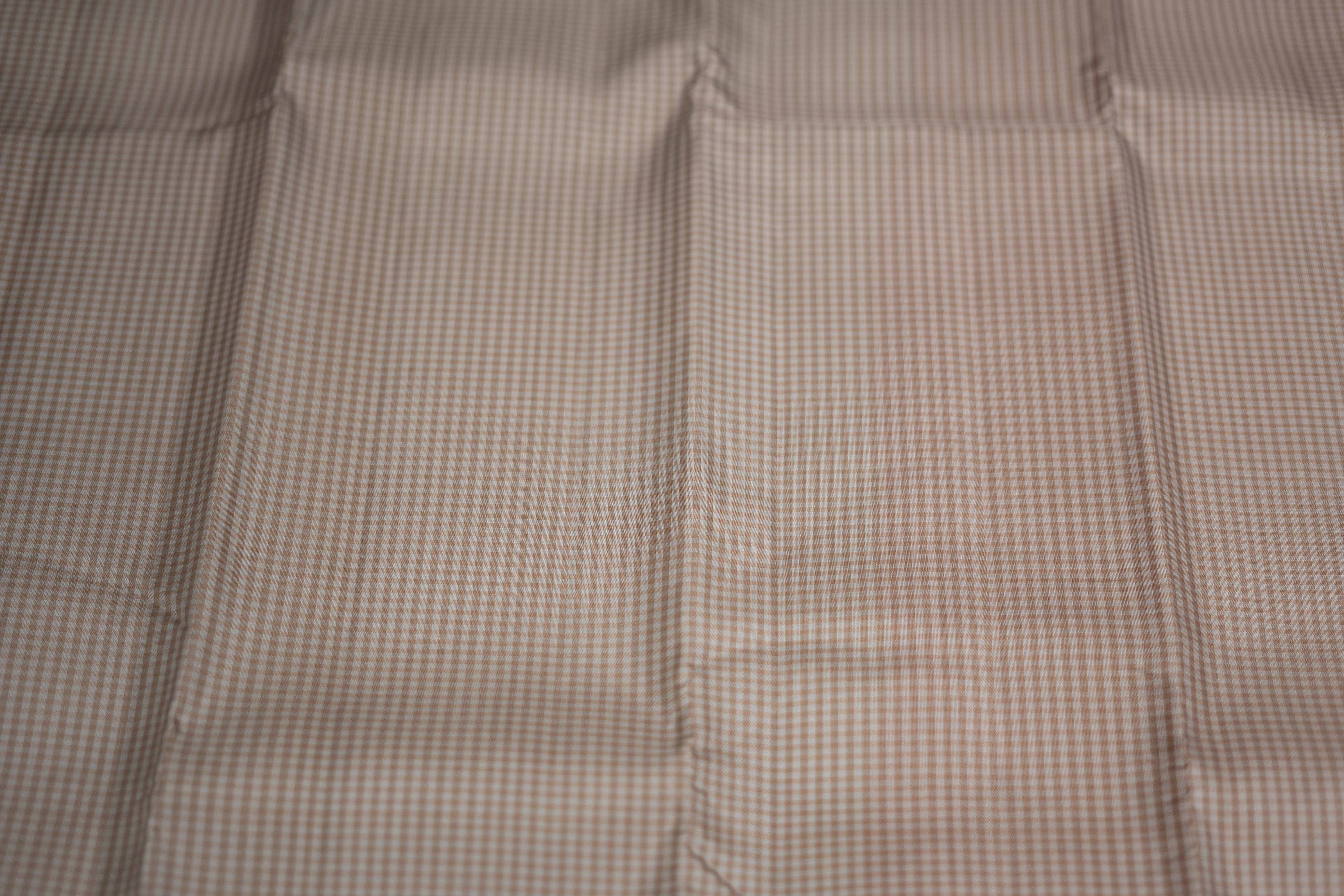 Kanchipuram Silk saree, beautifully woven with intricate zari work.